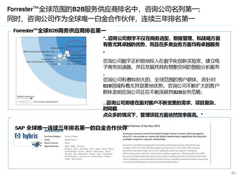 解讀大型快消集團(tuán)數(shù)字化營(yíng)銷(xiāo)系統(tǒng)解決方案 銷(xiāo)售與維護(hù)的精髓